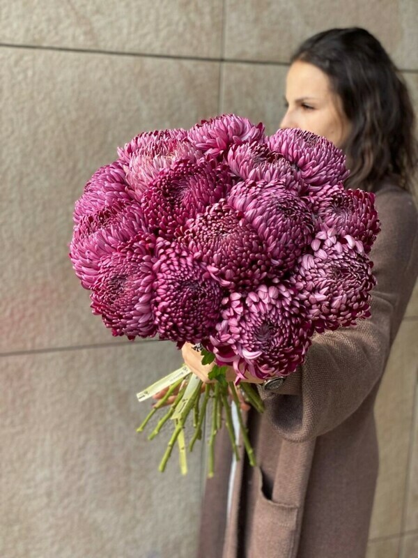 15бигуди эко-френдли, стандартный