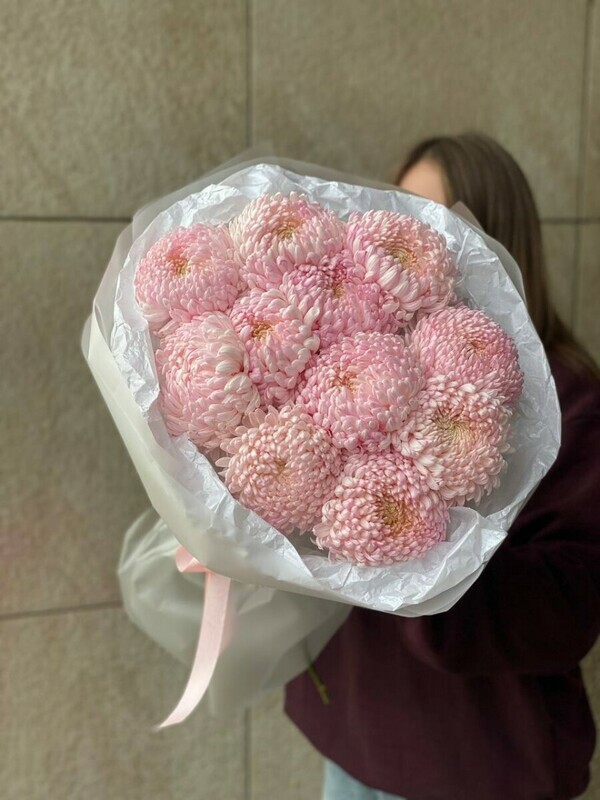 sahornoe oblako, standart