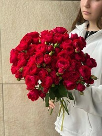 11 ред баблз эко-френдли