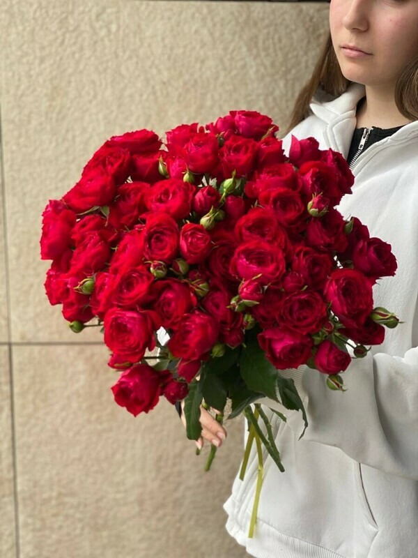 11 ред баблз эко-френдли, стандартный