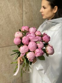 пион нежность