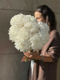 хризантема бигуди 9