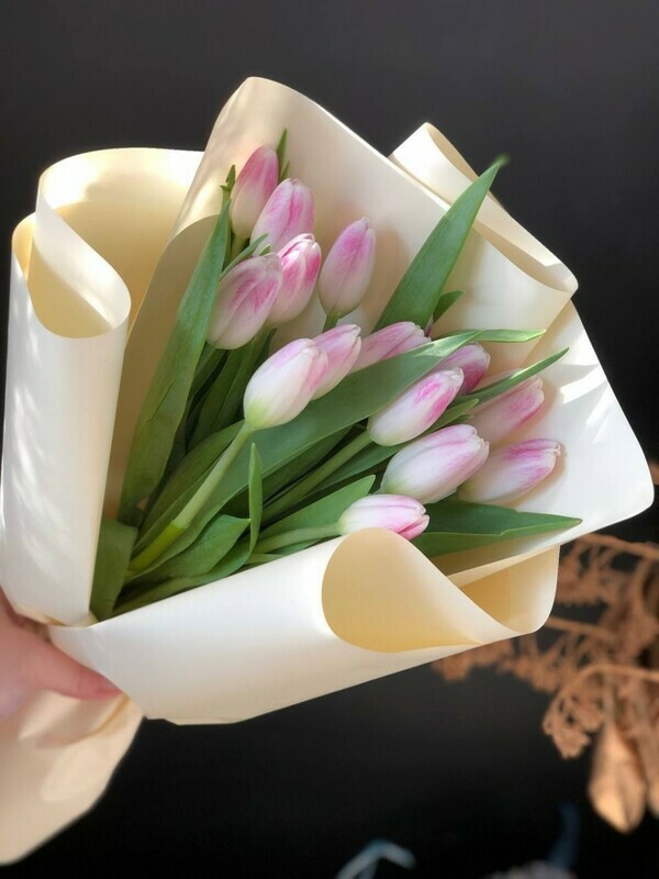 15 нежно-розовых тюльпанов в упаковке, стандарт