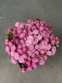 mono buket iz kustovih roz v krafte