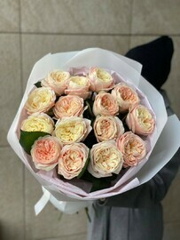 pristcilla v oformlenii