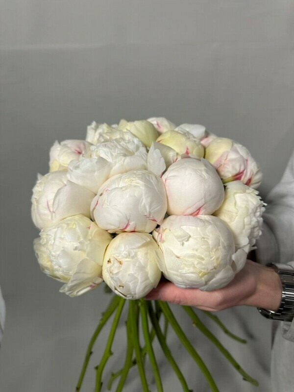 белая нежность, стандартный