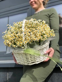 Korzina s romashkami