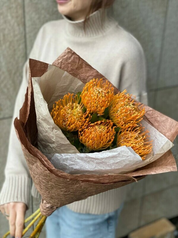 oranzhevij nutan ekzoticheskij, standart