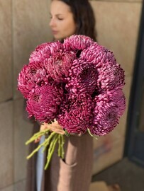 11bigudi eko-frendli