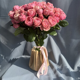 Sil_va Pink v korobke