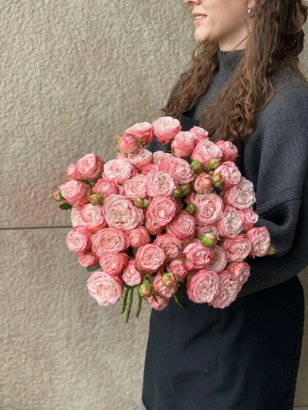 15madam bombastik eko-frendli, standart