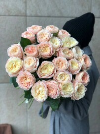 25pionovidnih roz na lente