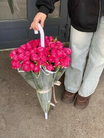 осень в зонтике