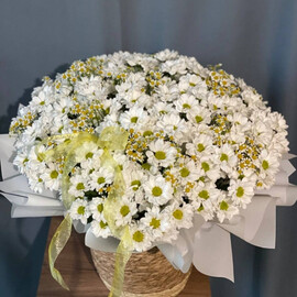 Большая корзина из ромашек