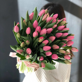 51 розовый тюльпан на атласной ленте