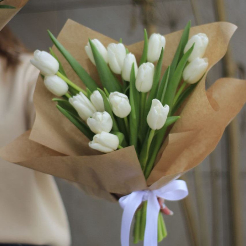 БЕЛЫЕ ТЮЛЬПАНЫ, белые тюльпаны