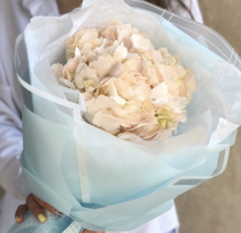 Комплимент