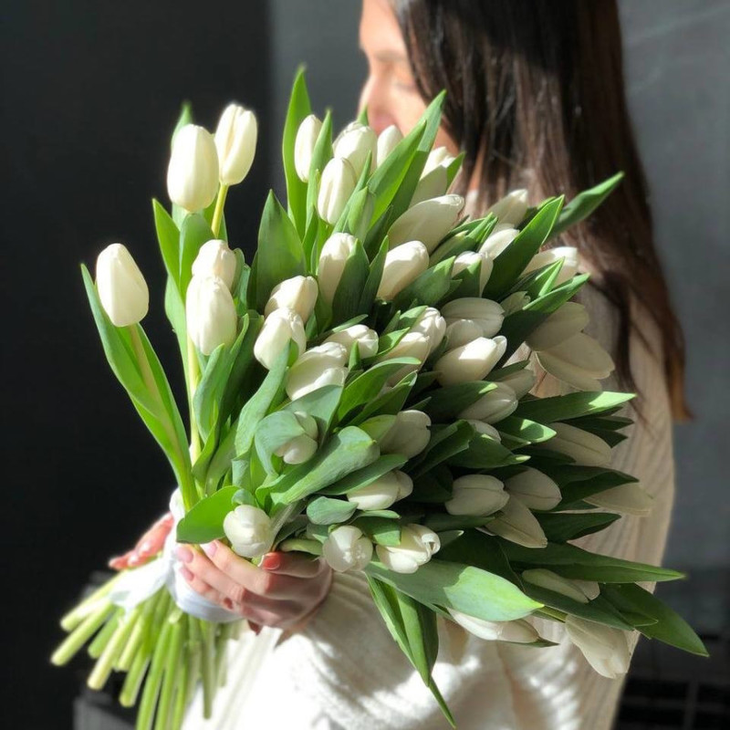 51 белый тюльпан, стандартный