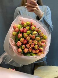 ПЕСТРЫЕ ТЮЛЬПАНЫ