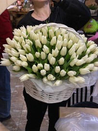 151 белый тюльпан в корзине