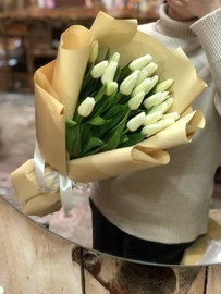 23 белых тюльпанов