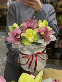 КОРОЛЕВСКИЕ ОРХИДЕИ