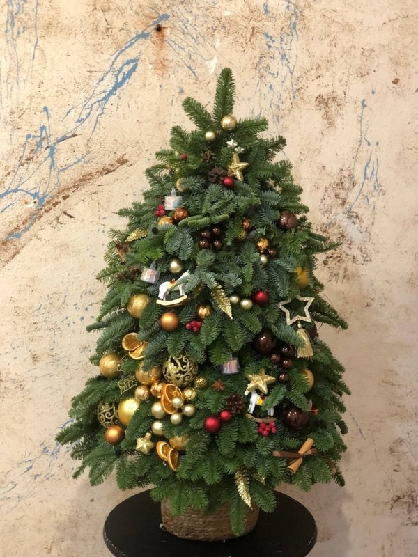 BOL_SHAYA NOVOGODNYAYA YOLKA, standart