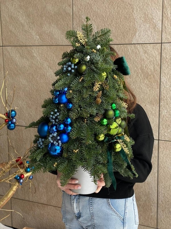 EL_ K NOVOMU GODU, standart