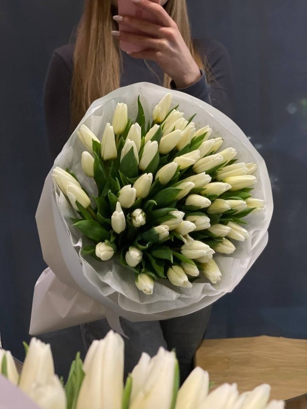 51 белый тюльпан, стандартный