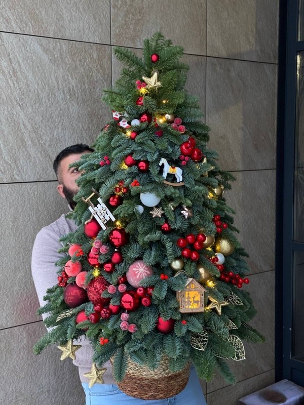 PREMIUM LYUKS, premium