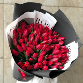 101 КРАСНЫЙ ТЮЛЬПАН