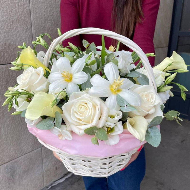 SOLNECHNOE NASTROENIE, standart