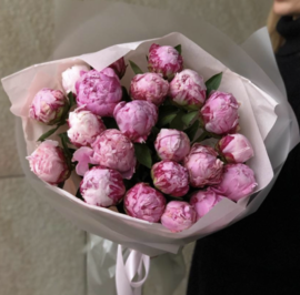 21 ПИОН В ДИЗАЙНЕРСКОЙ УПАКОВКЕ