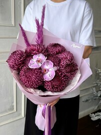 Mono iz odnogolovoj hrizantemi