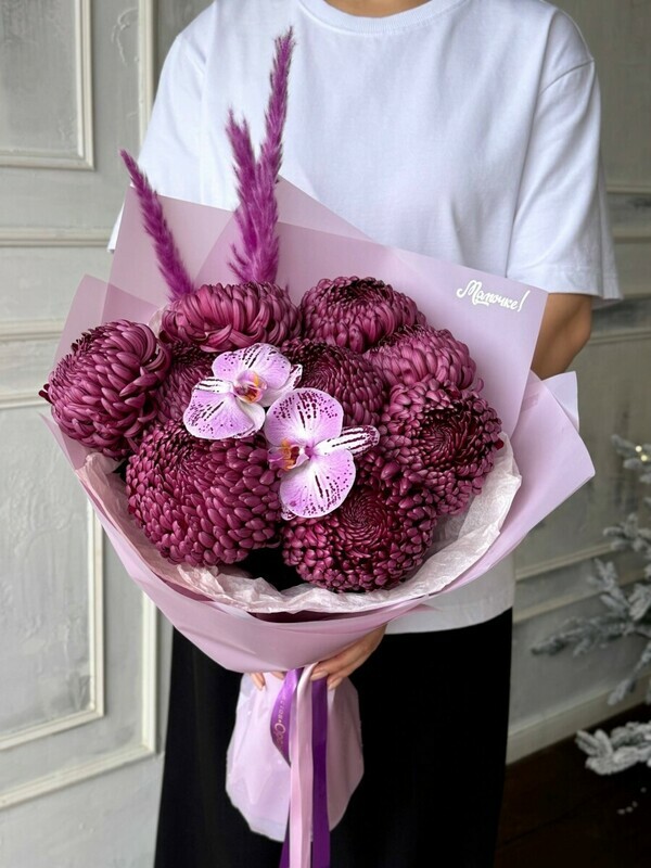 Моно из одноголовой хризантемы, моно из одноголовой хризантемы