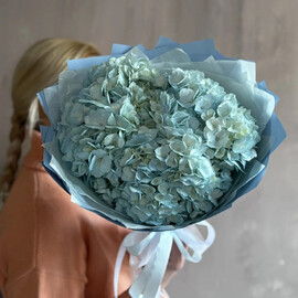 Nezhnij monobuket iz 3 golubih gortenzij