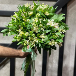 Зеленая новелла