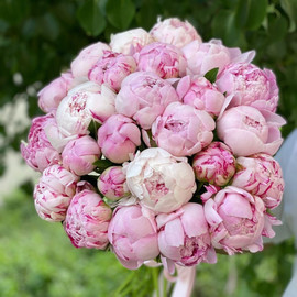 Нежная яркость