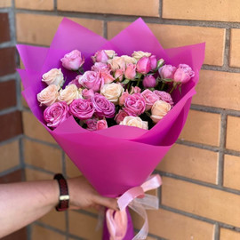 Ночные грёзы