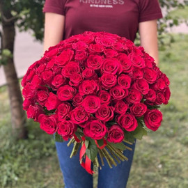 Little Red Riding Hood