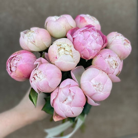 Сердечность