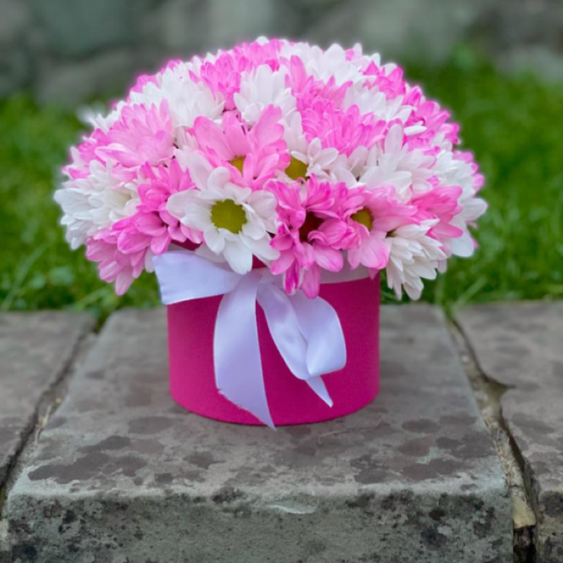 Нежный привет, стандартный