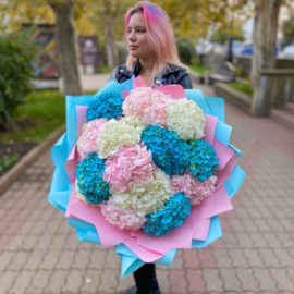 Разноцветные гортензии