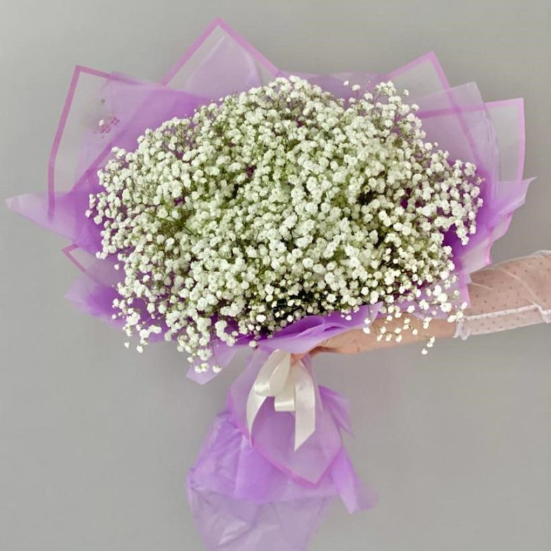 Белая гипсофила, стандартный