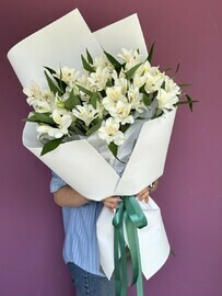 Белоснежные альстромерии 