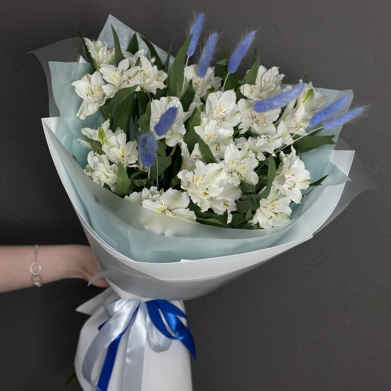 Al_stromerii s lagurusom -  « Zajchij hvostik», al_stromerii