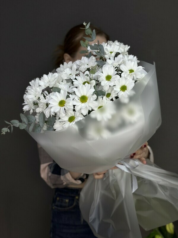 Ромашковое настроение , стандартный