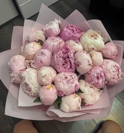 25 pionov «Princess»