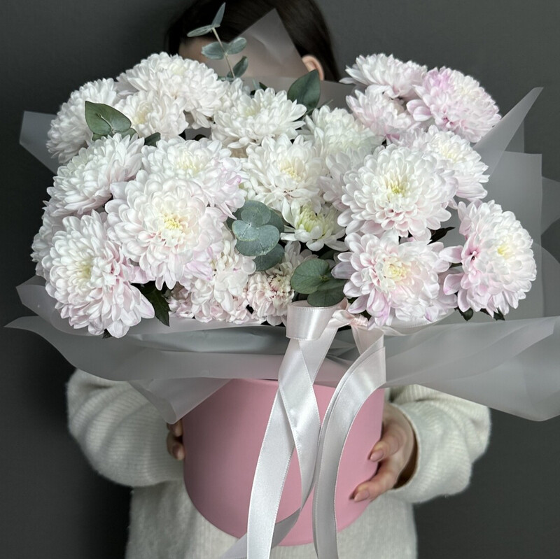 Хризантемы нежные , хризантема кустовая 