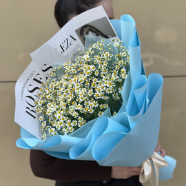 Милые ромашки 